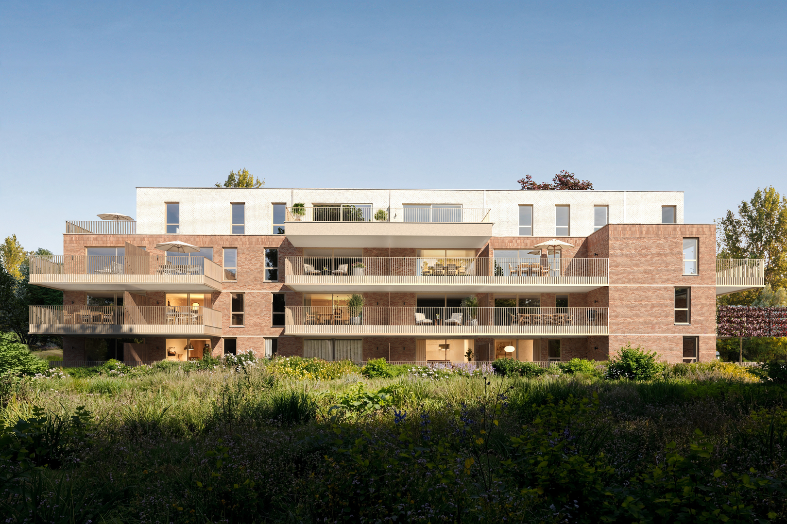 Renessehof