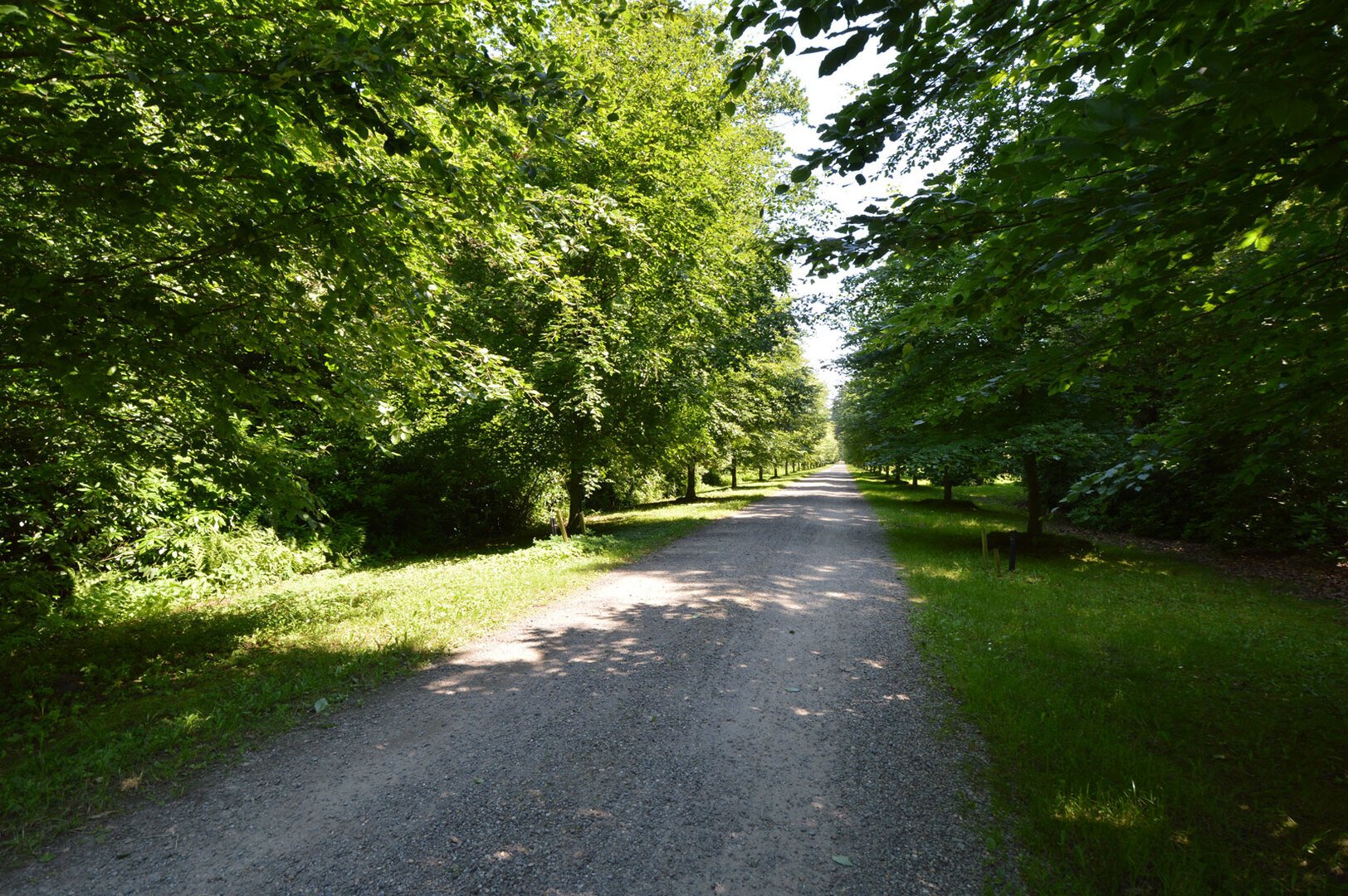 text-image-collection
